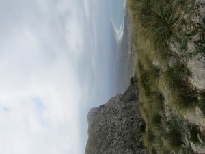 IMG_4780 (Medium)
